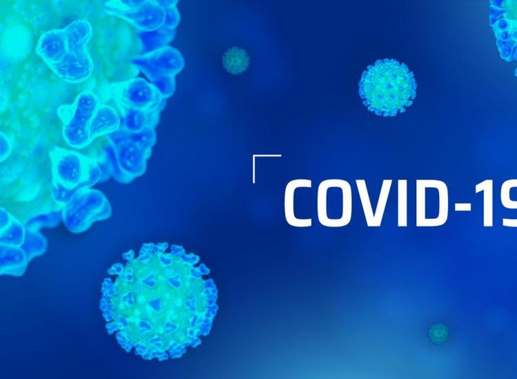 COVID-19
